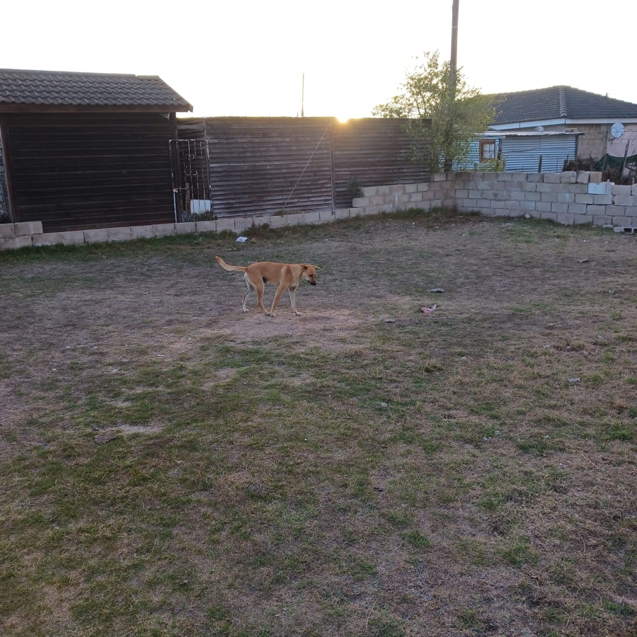 1 Bedroom Property for Sale in Kwanonqaba Western Cape